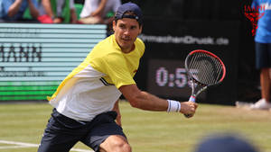 Tommy Haas Backswing Wallpaper