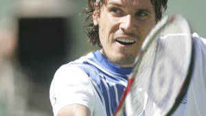 Tommy Haas Closeup Wallpaper