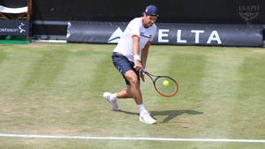 Tommy Haas Low Catch Wallpaper