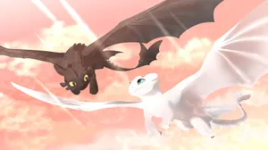 Toothless_and_ Light_ Fury_ Flight Wallpaper