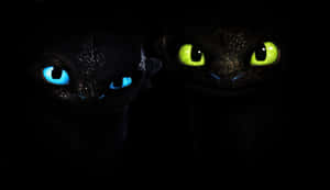 Toothless_and_ Light_ Fury_ Glowing_ Eyes Wallpaper