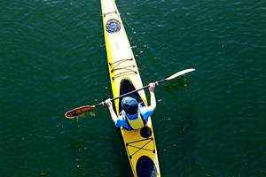 Top Of The Canoeing Boat Wallpaper