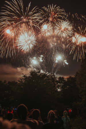 Tourists Watching Beautiful Fireworks Display Wallpaper