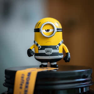 Toy Jail Minion Pfp Wallpaper