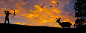 Tracking Down The Trophy Elk At Sunset Wallpaper