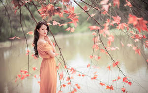 Traditional Elegance - A Chinese Girl In A Brown Dress Wallpaper