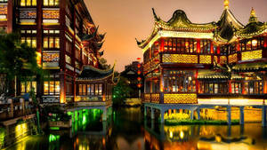 Traditional Garden Shanghai Wallpaper