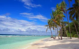 Tranquil Beauty Of Palm Beach Wallpaper