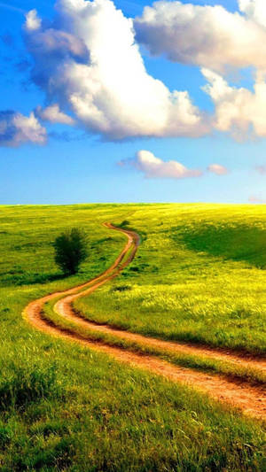 Tranquil Dirt Road Winding Through Grasslands Wallpaper