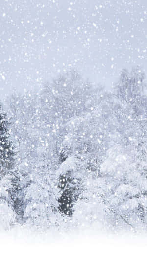 Tranquil Winter Wonderland For Iphone 6 Plus Wallpaper