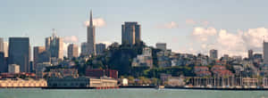Transamerica Pyramid On A Sunny Day Wallpaper