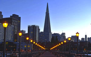 Transamerica Pyramid San Francisco Photography Wallpaper