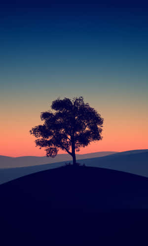 Transcend In Nature & Find Soothing Peace Wallpaper