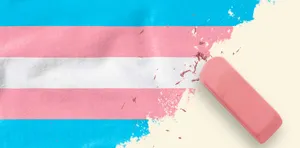 Transgender Flag With A Paint Brush Wallpaper