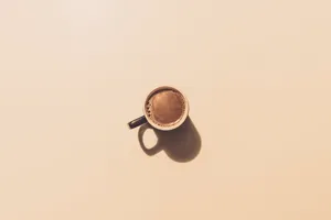 Transient Minimalism Wallpaper