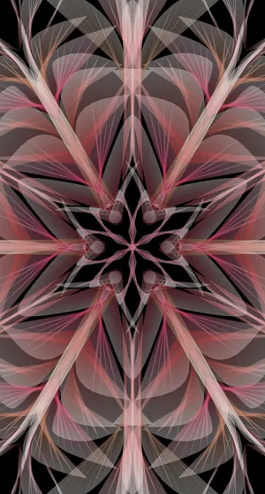 Transparent Black Artwork Wallpaper