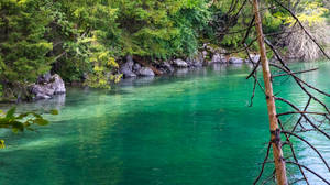 Transparent Green Lake Wallpaper