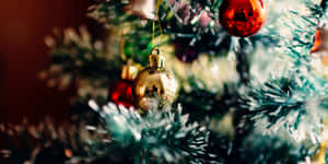 Tree Christmas Mac Aesthetic Wallpaper