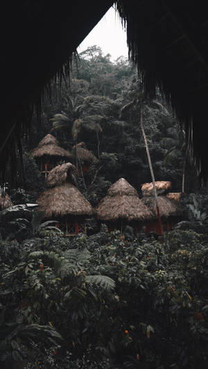 Tree Hut Jungle Iphone Wallpaper