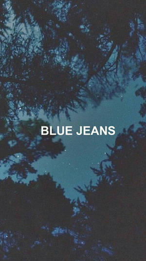 Tree Silhouettes Aesthetic Grunge Iphone Wallpaper