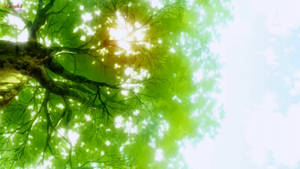 Tree With Bright Light Of Sun Green Anime Aesthetic Wallpaper