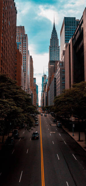 Trees Along Streets Of New York Iphone Wallpaper