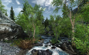 Trees On River Skyrim Landscape Wallpaper