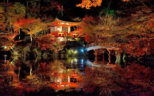 Trending Autumn Night Japanese Daigoji Temple Wallpaper