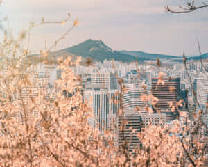 Trendy Korean Aesthetic Desktop Collections Wallpaper
