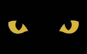 Trick Or Treat? This Black Cat Is Ready For Halloween! Wallpaper