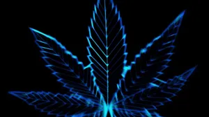 Trippy Dark Marijuana Leaf Wallpaper