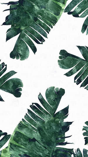 Tropical Aesthetic Banana Leaves Wallpaper