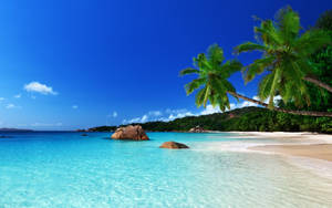 Tropical Anse Lazio Beach Wallpaper