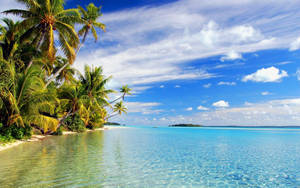 Tropical Beach Area Wallpaper