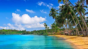 Tropical Beach Calm Waters Wallpaper