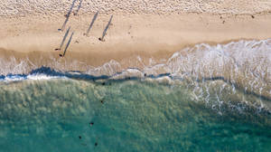 Tropical Beach Island Bird's Eye View Wallpaper