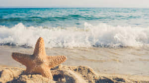 Tropical Beach Scene Star Fish Waves Wallpaper