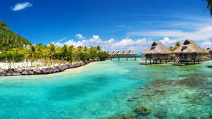 Tropical Belize Barrier Reef Wallpaper