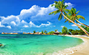 Tropical Island Beach Wallpaper