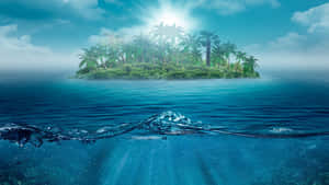 Tropical Island Ocean 4k Ipad Underwater Photography Wallpaper
