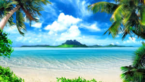 Tropical Island Palm Trees Beach Hawaii Wallpaper