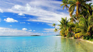 Tropical Island Trees Wallpaper