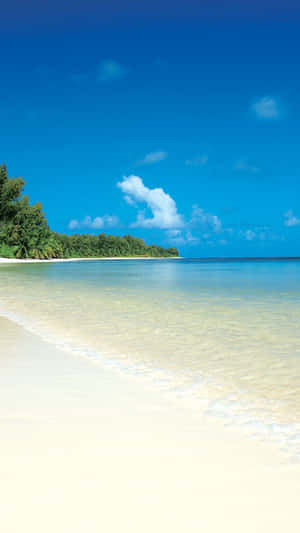 Tropical Island White Sand Wallpaper