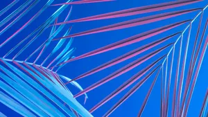Tropical Leaf Aesthetic Mac Wallpaper
