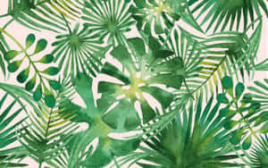 Tropical Leaves Wallpaper By Sarah Saunders Wallpaper
