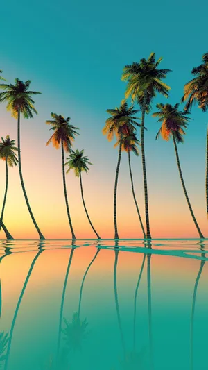 Tropical Palm Trees Cast A Stunning Silhouette Against The Sunny Sky Wallpaper