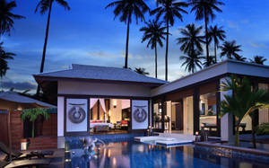 Tropical Palms Pool House Wallpaper