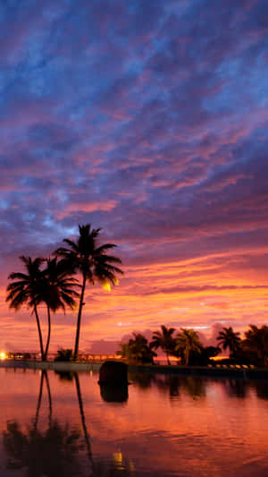 Tropical Sunset Pool Reflection Wallpaper