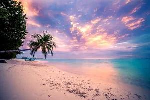 Tropical Sunset Purple Sky Wallpaper