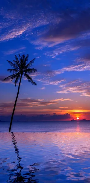 Tropical Sunset Sea Reflecting The Sky Wallpaper
